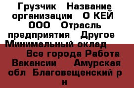 Грузчик › Название организации ­ О’КЕЙ, ООО › Отрасль предприятия ­ Другое › Минимальный оклад ­ 25 533 - Все города Работа » Вакансии   . Амурская обл.,Благовещенский р-н